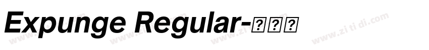 Expunge Regular字体转换